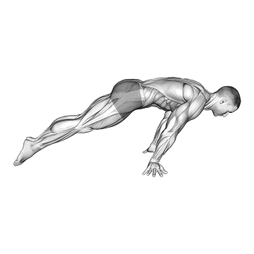 Animated demonstration of the lean planche exercise, targeting the Abs using Body weight.