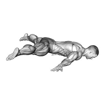 Animated demonstration of the straddle maltese exercise, targeting the Abs using Body weight.
