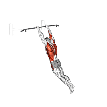 swing 360