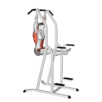Animated demonstration of the l-pull-up exercise, targeting the Lats using Body weight.