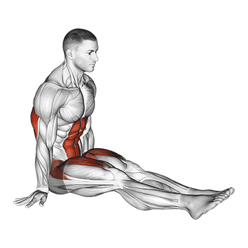 Animated demonstration of the l-sit on floor exercise, targeting the Abs using Body weight.
