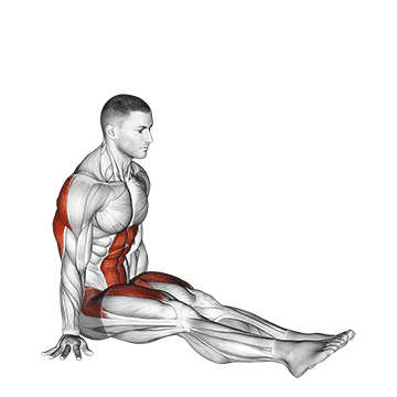 Animated demonstration of the v-sit on floor exercise, targeting the Abs using Body weight.
