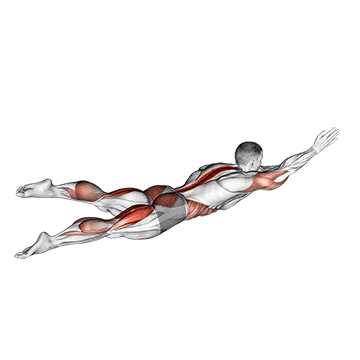 Animated demonstration of the swimmer kicks v. 2 (male) exercise, targeting the Glutes using Body weight.