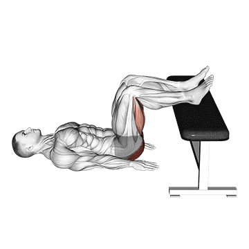 Animated demonstration of the glute bridge two legs on bench (male) exercise, targeting the Glutes using Body weight.