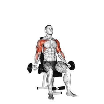 Animated demonstration of the dumbbell seated biceps curl to shoulder press exercise, targeting the Biceps using Dumbbell.