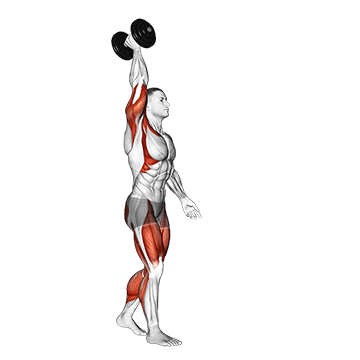 Animated demonstration of the dumbbell single arm overhead carry exercise, targeting the Delts using Dumbbell.