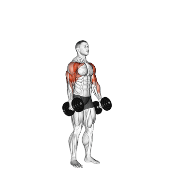 Animated demonstration of the dumbbell standing alternate hammer curl and press exercise, targeting the Biceps using Dumbbell.