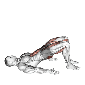 Animated demonstration of the glute bridge march exercise, targeting the Glutes using Body weight.