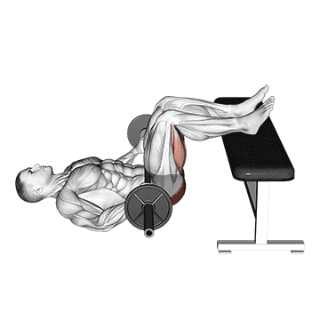 Animated demonstration of the barbell glute bridge two legs on bench (male) exercise, targeting the Glutes using Barbell.