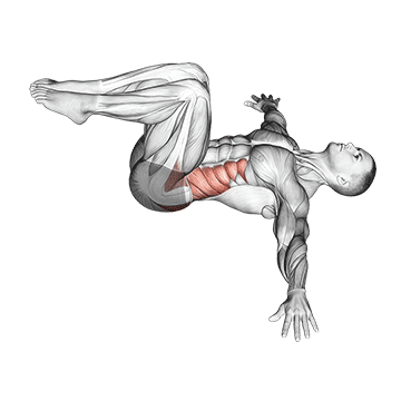 Animated demonstration of the bent knee lying twist (male) exercise, targeting the Glutes using Body weight.