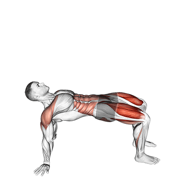 Animated demonstration of the reverse plank with leg lift exercise, targeting the Abs using Body weight.