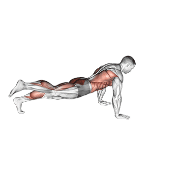 Animated demonstration of the power point plank exercise, targeting the Abs using Body weight.