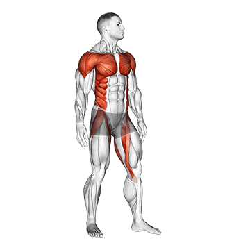 Animated demonstration of the standing archer exercise, targeting the Upper back using Body weight.
