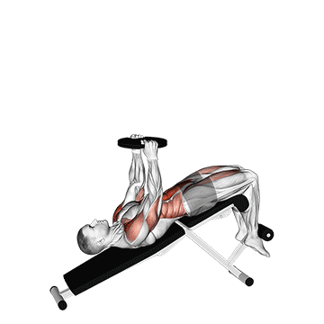 weighted decline sit-up