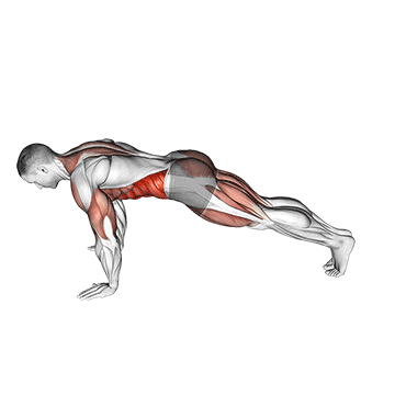 Animated demonstration of the inchworm v. 2 exercise, targeting the Abs using Body weight.