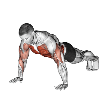 Animated demonstration of the shoulder tap exercise, targeting the Abs using Body weight.